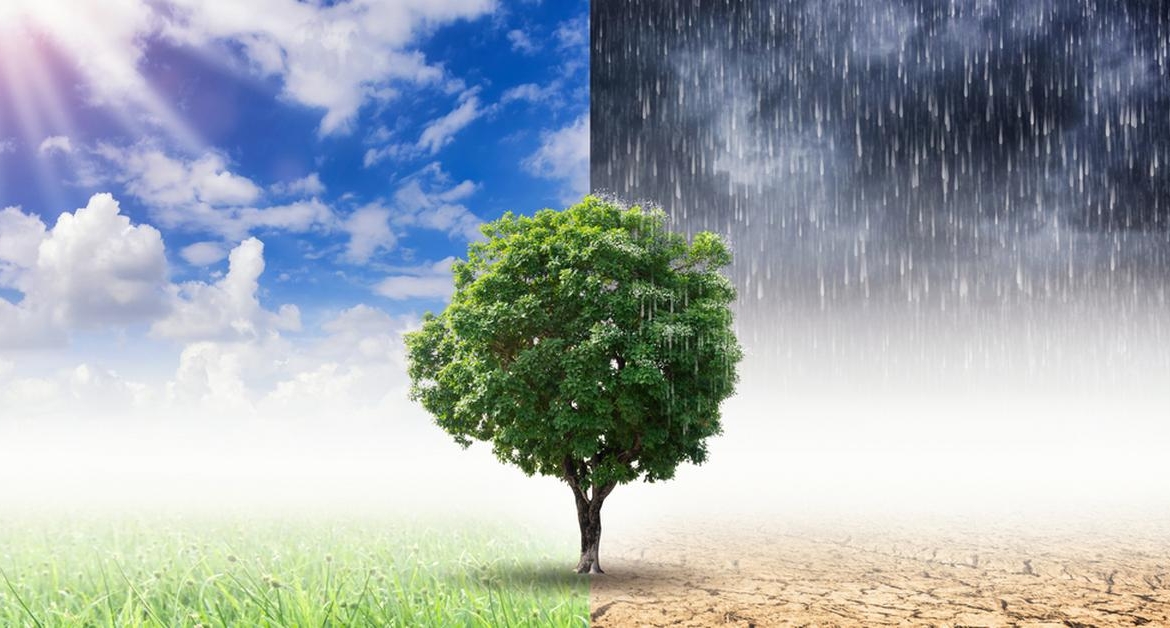 Konkurs plastyczny „Jak chronię klimat?” (II edycja, termin: 10 października 2022)